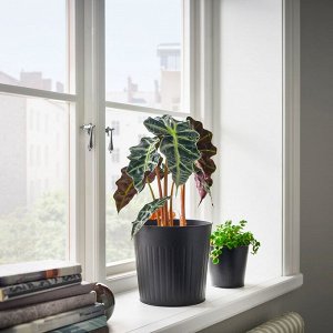 CITRONMELISS, горшок для растений, внутренний / уличный / антрацит, 19 см