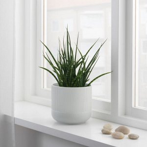 GRADVIS, горшок для растений, серый, 15 см