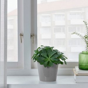 SKOGSVINBR, горшок для растений, серый для улицы, 9 см,