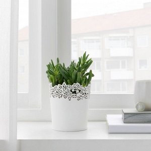 САМВЕРКА, горшок для растений, белый, 9 см