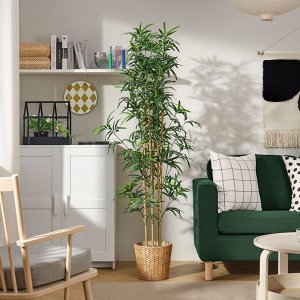 ФЕЙКА, искусственное растение в горшке, внутри / наружный бамбук, 23 см