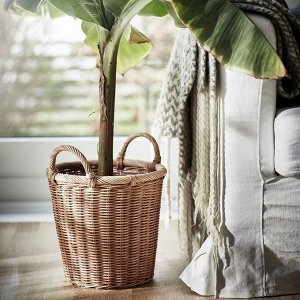 КАКТУСФИКОН, горшок для растений, ротанг, 24 см