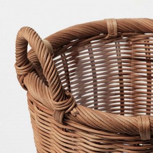 КАКТУСФИКОН, горшок для растений, ротанг, 24 см