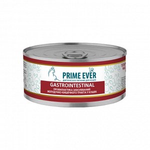 VET Prime Ever "Gastrointestinal" для кошек 100 г. влажный корм для нормализации работы ЖКТ