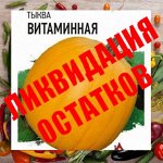 50% Скидка. Семена: Цветы, Овощи, Зелень