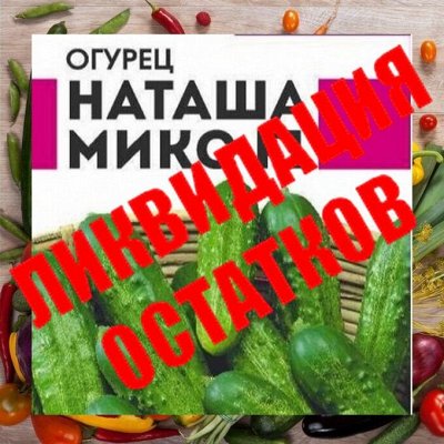 50% Скидка. Семена: Цветы, Овощи, Зелень