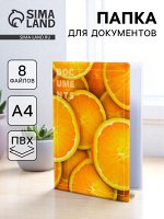 Папка для документов Docs, 8 файлов А4