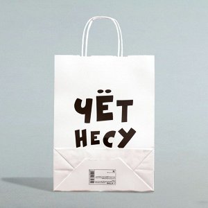 Пакет подарочный бумажный «Чёт несу», 24x14x28 см