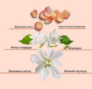 Парфюмированный лосьон для тела Jmella In France Queen 5 Body Lotion 500 мл
