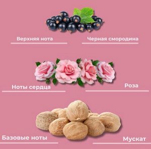 Парфюмированный лосьон для тела Jmella In France Sparkling Rose Body Lotion 500 мл