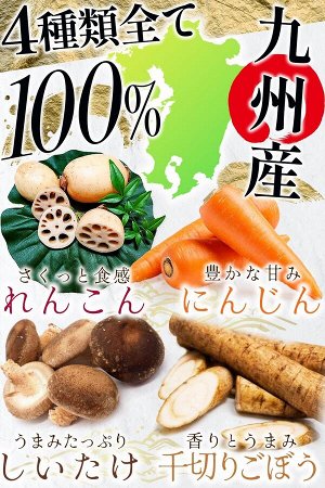 Riff Kobo 4 Types of Root Vegetable Mix - микс из сушеных корнеплодов (шиитаке, корень лотоса, корень лопуха, морковь)