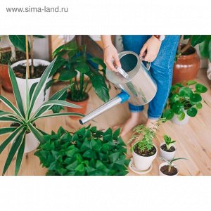 Лейка с длинным носиком, 5 л, с рассеивателем, оцинкованная, без рисунка, носик d=25 мм