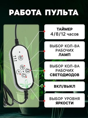 Фитосветильник для растений, светодиодный, 9 Вт, 250 мм, IP66, 5 В, USB, прищепка, таймер, полноспектральный
