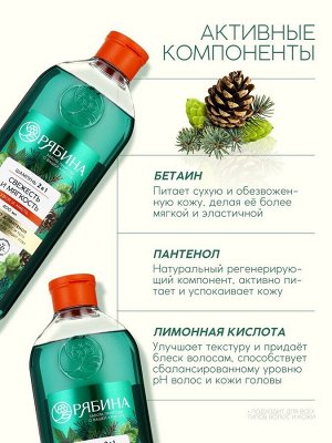 Мужской шампунь 2 в 1, 400 мл