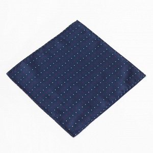 Набор мужской: галстук-бабочка 12х 6 см, платок 21 х 21 см, синий, п/э