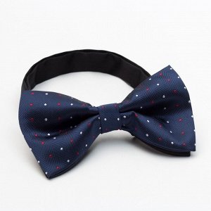 Набор мужской: галстук-бабочка 12х 6 см, платок 21 х 21 см, синий, п/э