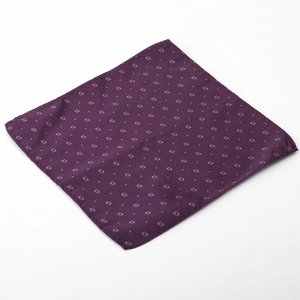 Набор мужской: галстук-бабочка 12 х 6, платок 21 х 21, фиолетовый, п/э