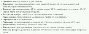 Фаленопсис Букет Романтик 3-5 ст