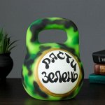 Копилка &quot;Гиря&quot; цветная 25см