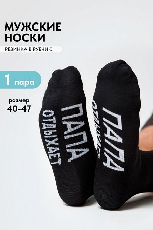 BERCHELLI Носки мужские Папа отдыхает