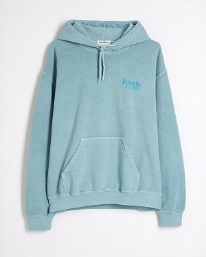 Зеленая толстовка с капюшоном с длинными рукавами Iconic