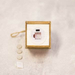 Ёлочная игрушка «Домик со снеговиком», от батареек, свечение тёплое белое