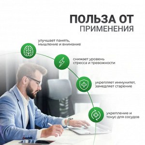 BioTech Ginkgo Biloba - 90 таблеток