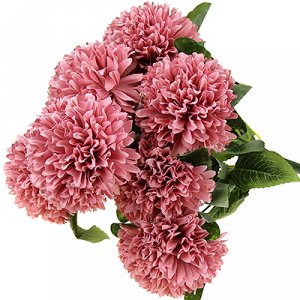 Букет "Астры" 45см, 9 цветков, цвета микс (Китай)