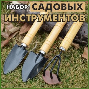 Набор инструментов для комнатных растений и рассады 3 предмета