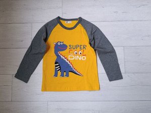 Лонгслив (футболка с длинным рукавом) 120р