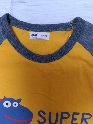 Лонгслив (футболка с длинным рукавом) 120р