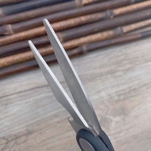 Ножницы кухонные, 20,5 см, нерж. сталь, пластик