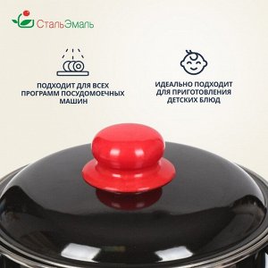 Кастрюля эмалированная сталь, 3 л, с крышкой, крышка сталь, цилиндрическая, СтальЭмаль, Рябина, 7RD181M/7RD181S, индукция