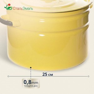 Кастрюля эмалированная сталь, 9 л, с крышкой, крышка сталь, СтальЭмаль, 2с200, в ассортименте, индукция