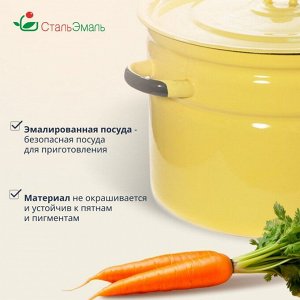 Кастрюля эмалированная сталь, 9 л, с крышкой, крышка сталь, СтальЭмаль, 2с200, в ассортименте, индукция