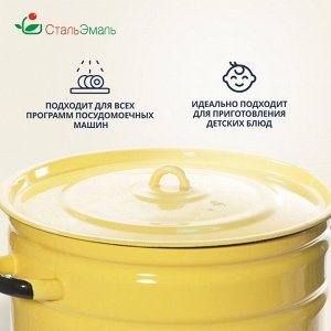 Кастрюля эмалированная сталь, 9 л, с крышкой, крышка сталь, СтальЭмаль, 2с200, в ассортименте, индукция