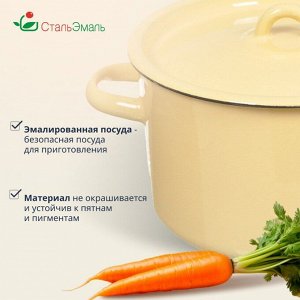 Кастрюля эмалированная сталь, 2.9 л, с крышкой, крышка сталь, СтальЭмаль, 2с16/1, в ассортименте, индукция