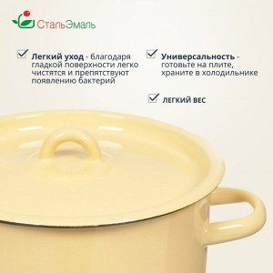 Кастрюля эмалированная сталь, 2.9 л, с крышкой, крышка сталь, СтальЭмаль, 2с16/1, в ассортименте, индукция