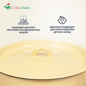 Кастрюля эмалированная сталь, 2.9 л, с крышкой, крышка сталь, СтальЭмаль, 2с16/1, в ассортименте, индукция