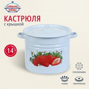 Кастрюля эмалированная сталь, 14 л, крышка сталь, с декором, цилиндрическая, Сибирские товары, С1626.з/П/СГ, зеленый рябчик,палевый, серо-голубой