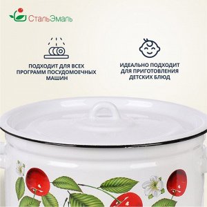 Кастрюля эмалированная сталь, 7 л, с крышкой, крышка сталь, цилиндрическая, СтальЭмаль, Вишня ягоды, 1с18с, индукция