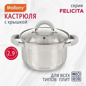 Кастрюля нержавеющая сталь, 2.9 л, с крышкой, крышка стекло, силиконовые ручки, Mallony, Felicit?, 009387, индукция