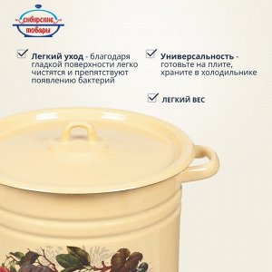 Кастрюля эмалированная сталь, 9 л, с крышкой, крышка сталь, цилиндрическая, Сибирские товары, С1622/.П/.п*59/*59/.П*79/*78/*119/79, в ассортименте