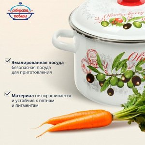 Кастрюля эмалированная сталь, 5.5 л, с крышкой, крышка сталь, цилиндрическая, Сибирские товары, Оливки и черри, 3MD221P, индукция