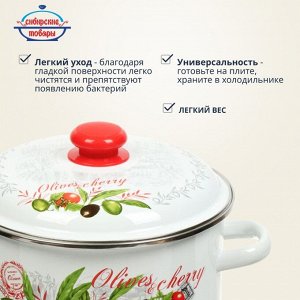 Кастрюля эмалированная сталь, 5.5 л, с крышкой, крышка сталь, цилиндрическая, Сибирские товары, Оливки и черри, 3MD221P, индукция