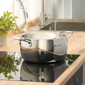Кастрюля нержавеющая сталь, 4.7 л, с крышкой, крышка стекло, Daniks, Manola, CW-T078-22, индукция