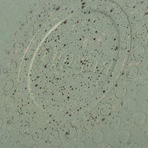 Кастрюля алюминий, антипригарное покрытие, 5 л, крышка стекло, Гурман, Мята, ГМк503МЛ, индукция
