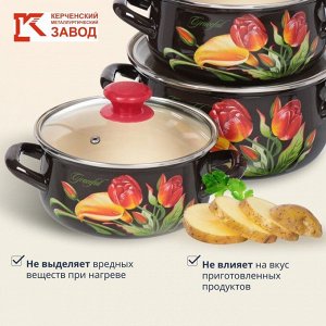 Набор посуды эмалированная сталь, 6 предметов, кастрюли 1.5,2,3 л, МП, Керченский металлургический завод, Грациозный-Экстра