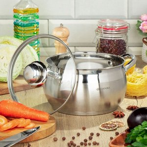 Кастрюля нержавеющая сталь, 3.9 л, крышка стекло, Daniks, Классика, SD-20, индукция
