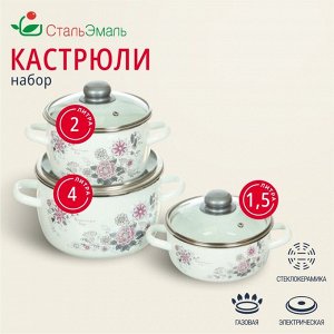 Набор посуды эмалированная сталь, 3 предмета, кастрюли 1.5,2,4 л, индукция, СтальЭмаль, Весенний романс, 1КА071S